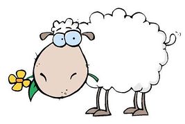 Sheep clipart and illustration .