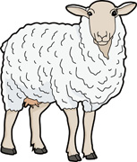 From: Sheep Clipart