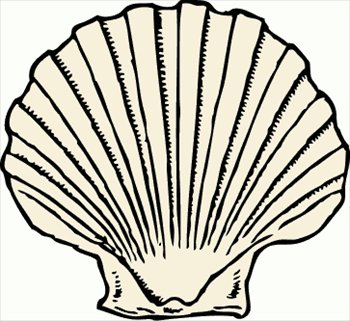 shells clip art - photos of a - Shells Clipart