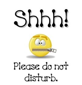 Shhh Please Do Not Disturb Emoticon Graphic