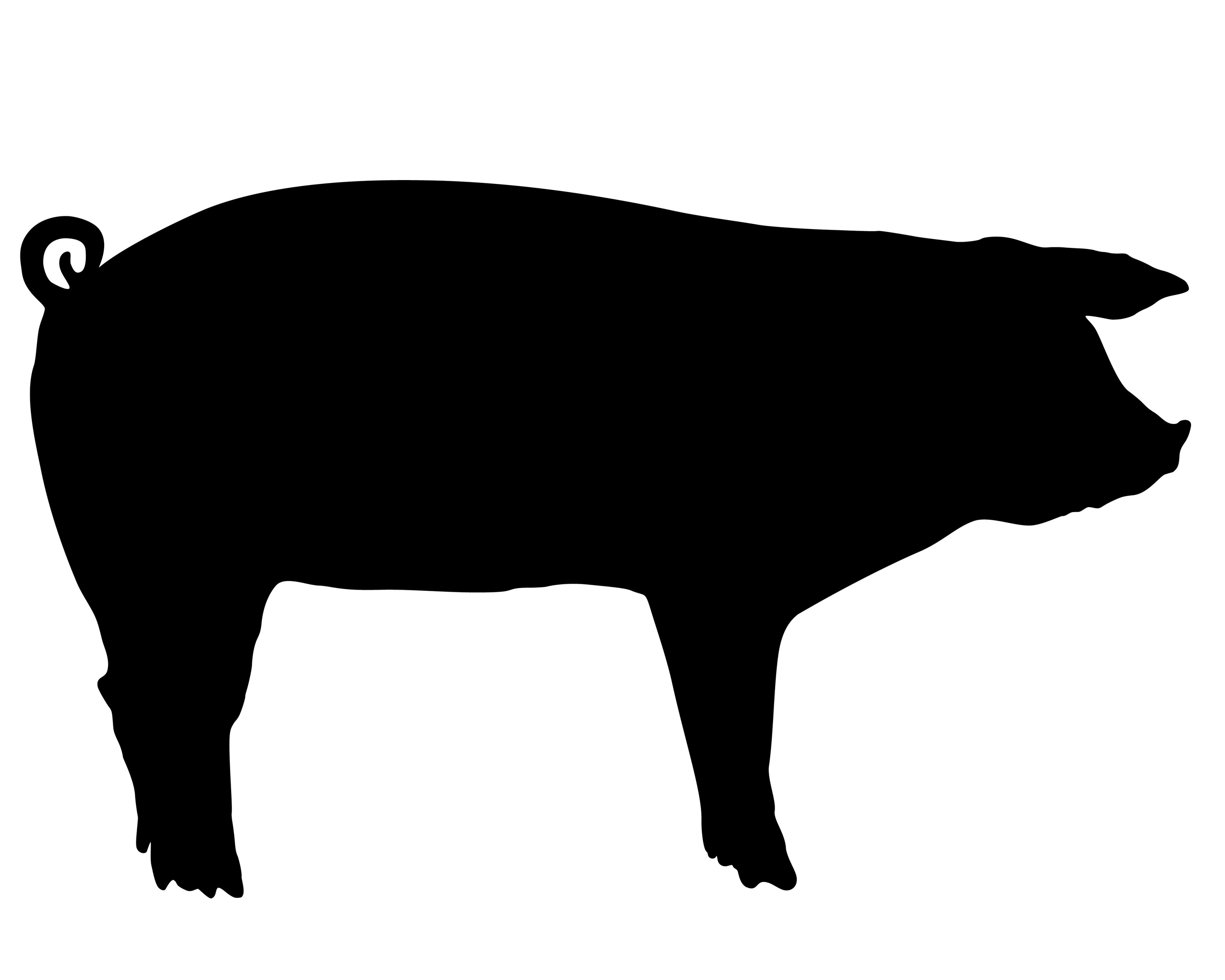 show pig silhouette clip art