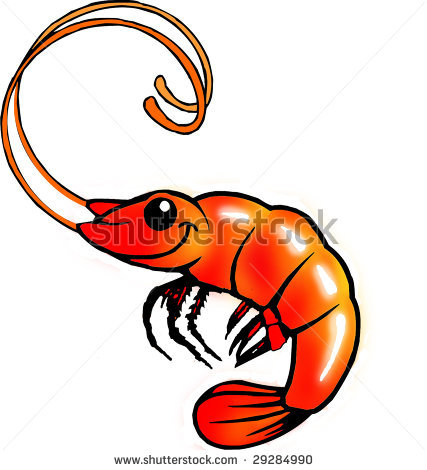 shrimp clipart