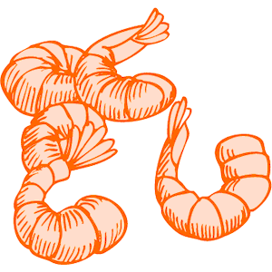 Shrimp clip art images illust - Shrimp Clip Art