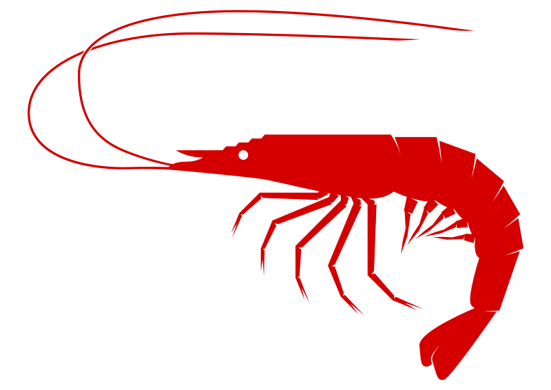 shrimp - Clipart Shrimp