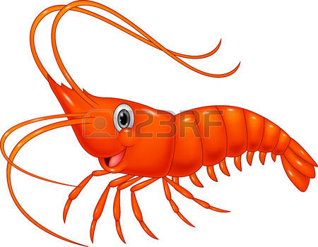 shrimp: Cute cartoon shrimp - Clipart Shrimp