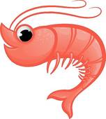 Shrimp Illustrations And Clip - Clipart Shrimp
