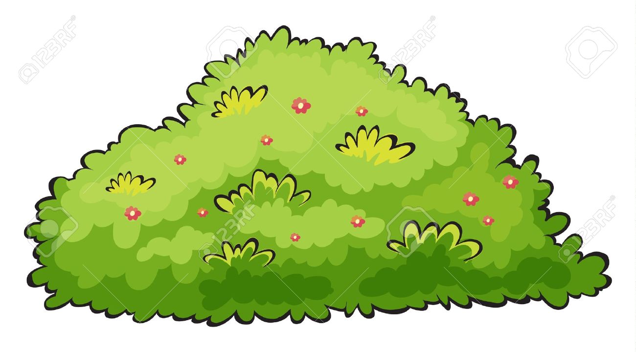 Bush clipart: bush: Illustration of a green