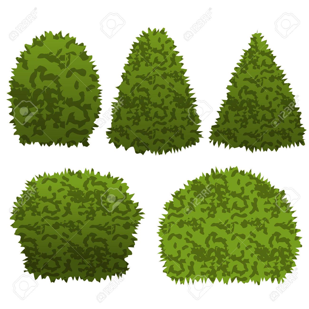 Set of garden bushes. Isolated vector bushes can be used to construct  topiary garden scene