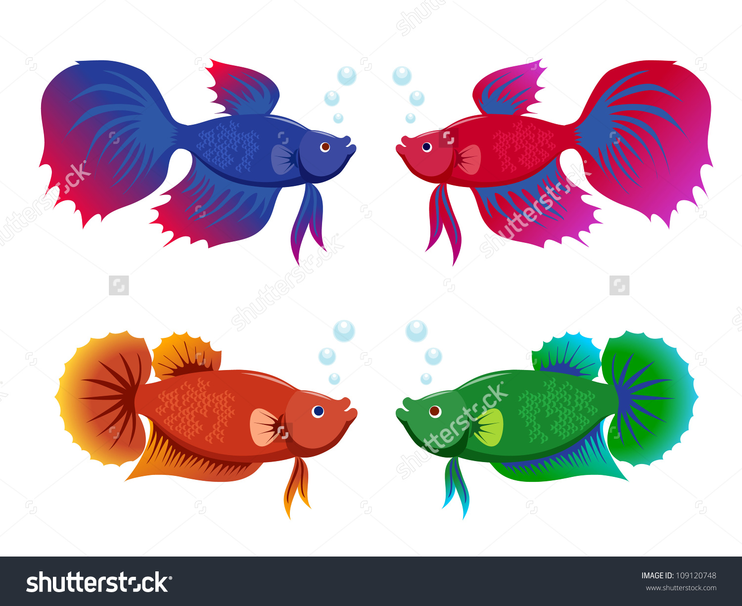 Siamese fighting fishes set . - Betta Fish Clip Art