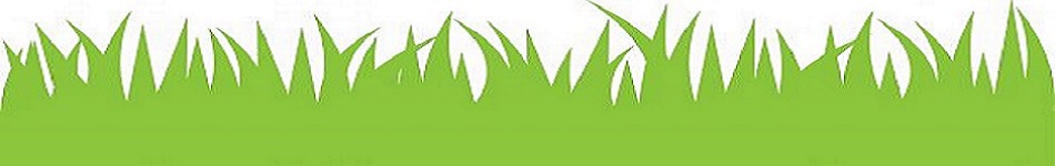 Sierra Landscaping Inc Landsc - Landscaping Clip Art