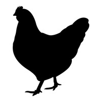 Silhouette of hen - Chicken Silhouette Clip Art