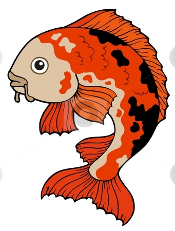 Similar images: Red koi fish .