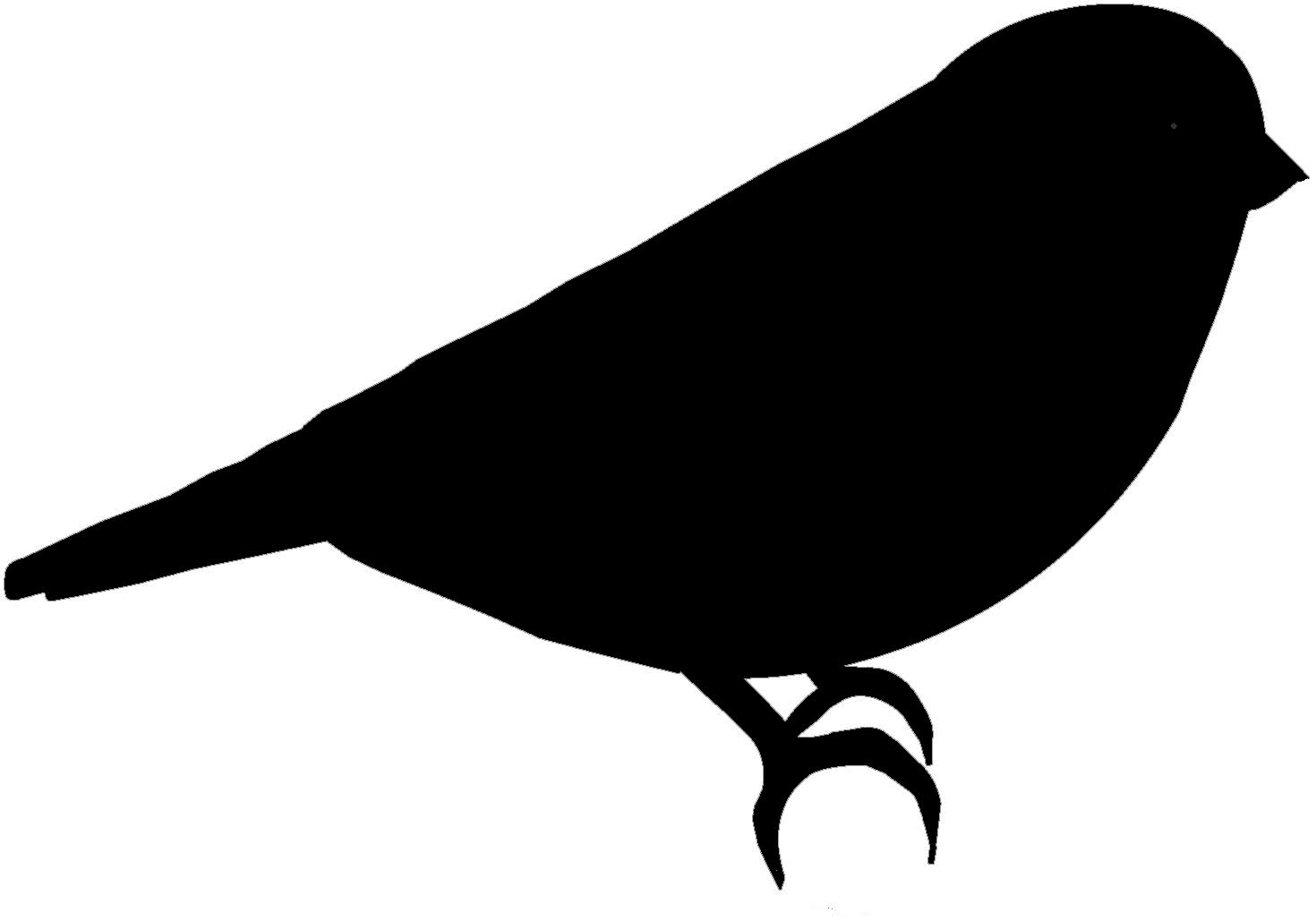 Clipart Bird Black And White 