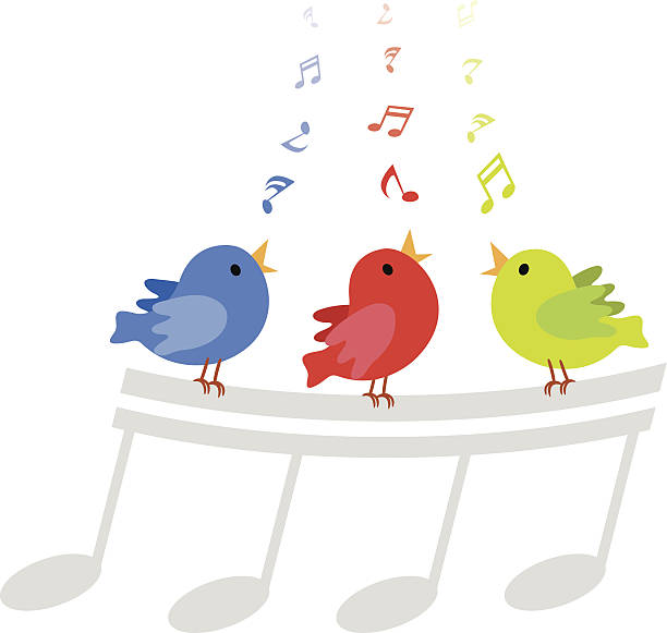 Colorful singing birds cartoon vector art illustration