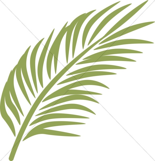 Single Palm in Calming Green - Palm Branch Clip Art