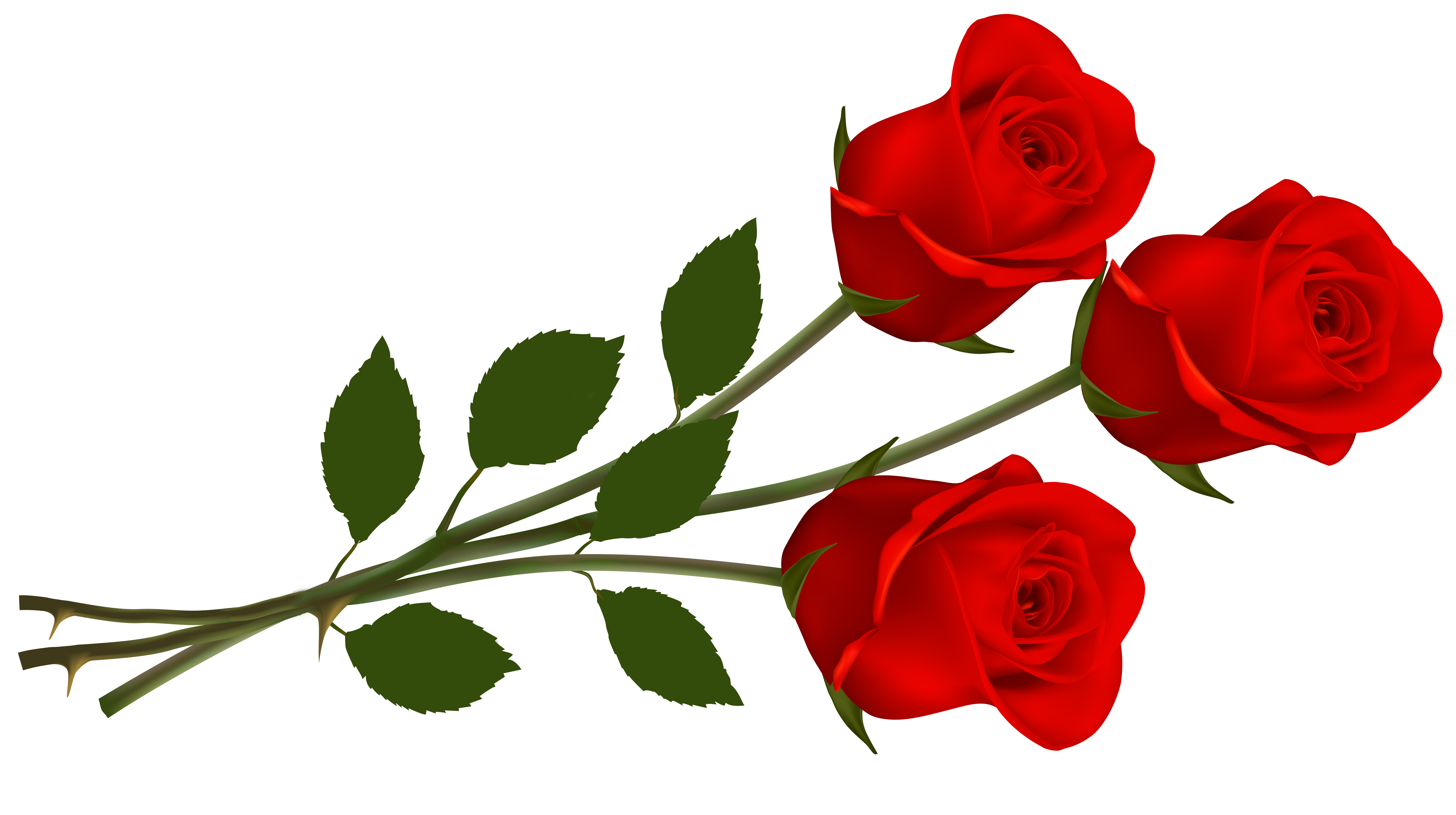 red red rose clipart ...