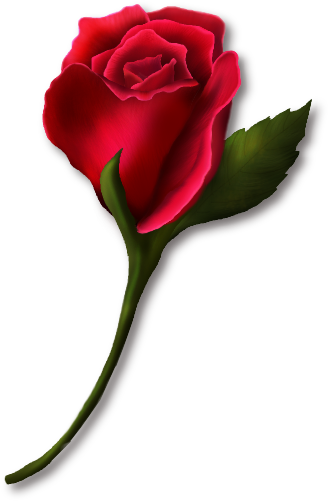 Single Rose Clip Art | Clipart library - Free Clipart Images