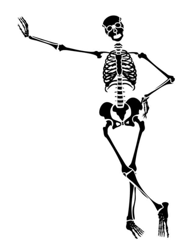 Skeleton clip art free free c - Clipart Skeleton
