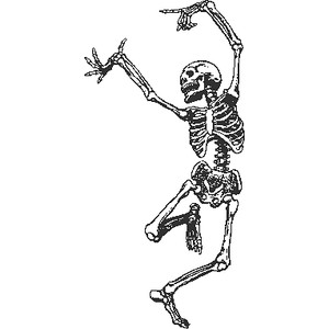 SKELETON DANCING - public domain clip art image