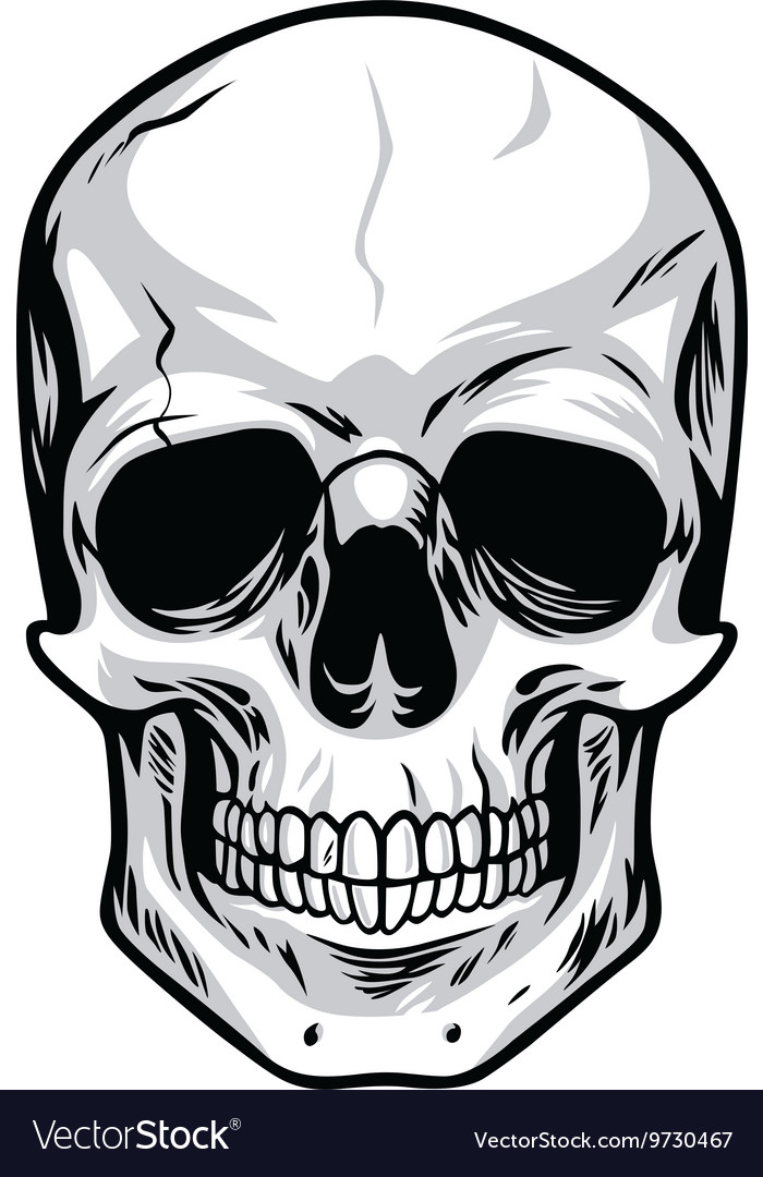 Skull Clipart vector image
