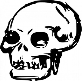 Skull hand drawn 2 - Free Skull Clipart