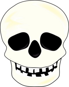 Skull Clipart Illustration .