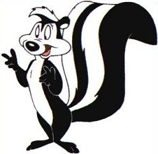 Skunk clipart free free .