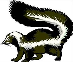 skunk clipart 