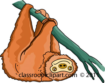 sloth clipart