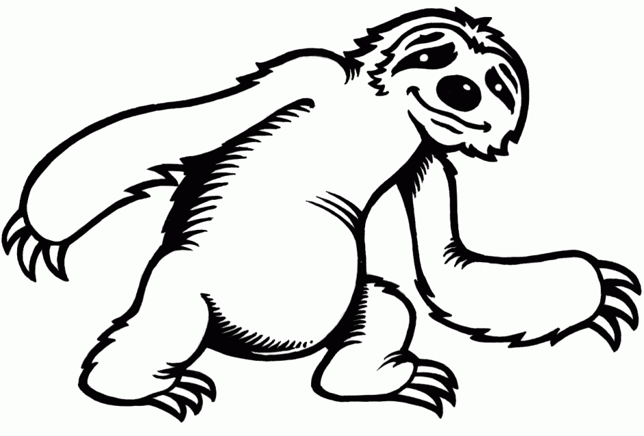 Sloth clipart free download c - Sloth Clipart