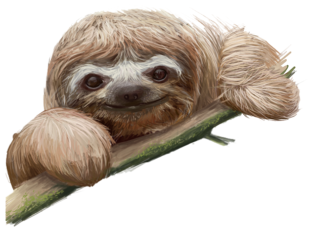 Sloth transparent images all clip art