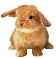 ... small evil Easter Bunny clipart