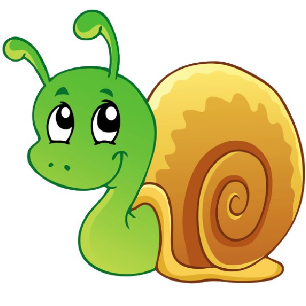 snail clipart  - Clipart Snail