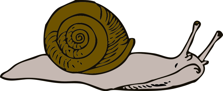 Snail Clip Art Clipart Best - Clip Art Snail