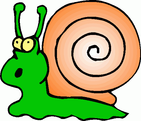 Green and Orange Snail