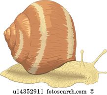 Snail. ValueClips Clip Art - Clipart Snail
