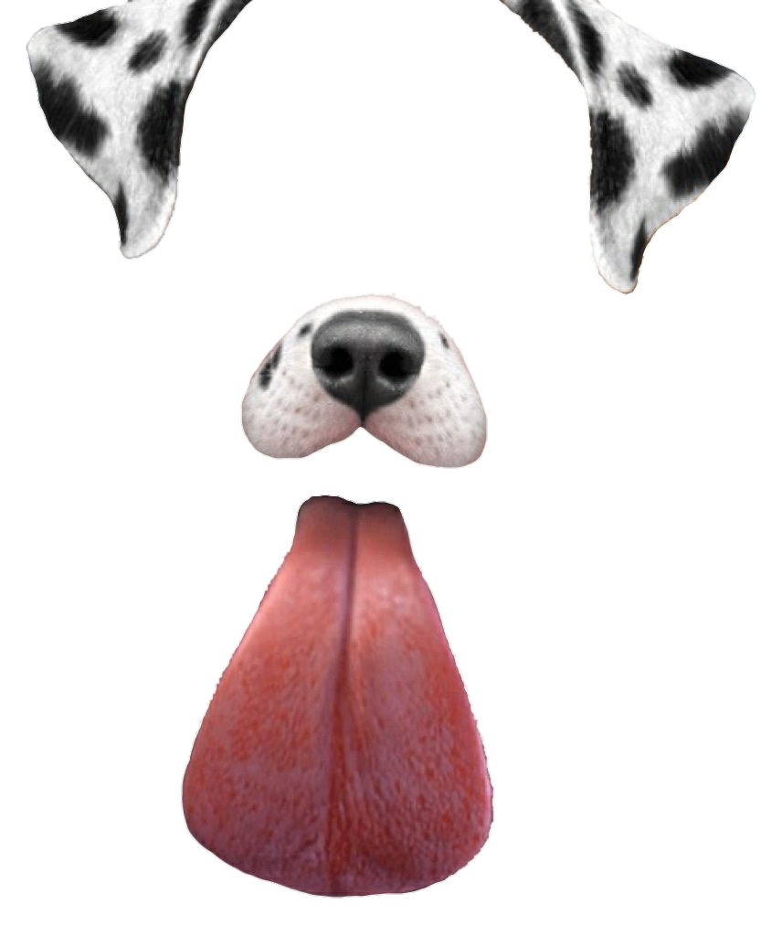 Snapchat Filters Clipart-Clipartlook.com-856