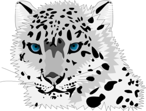 Snow Leopard Clip Art - Snow Leopard Clipart