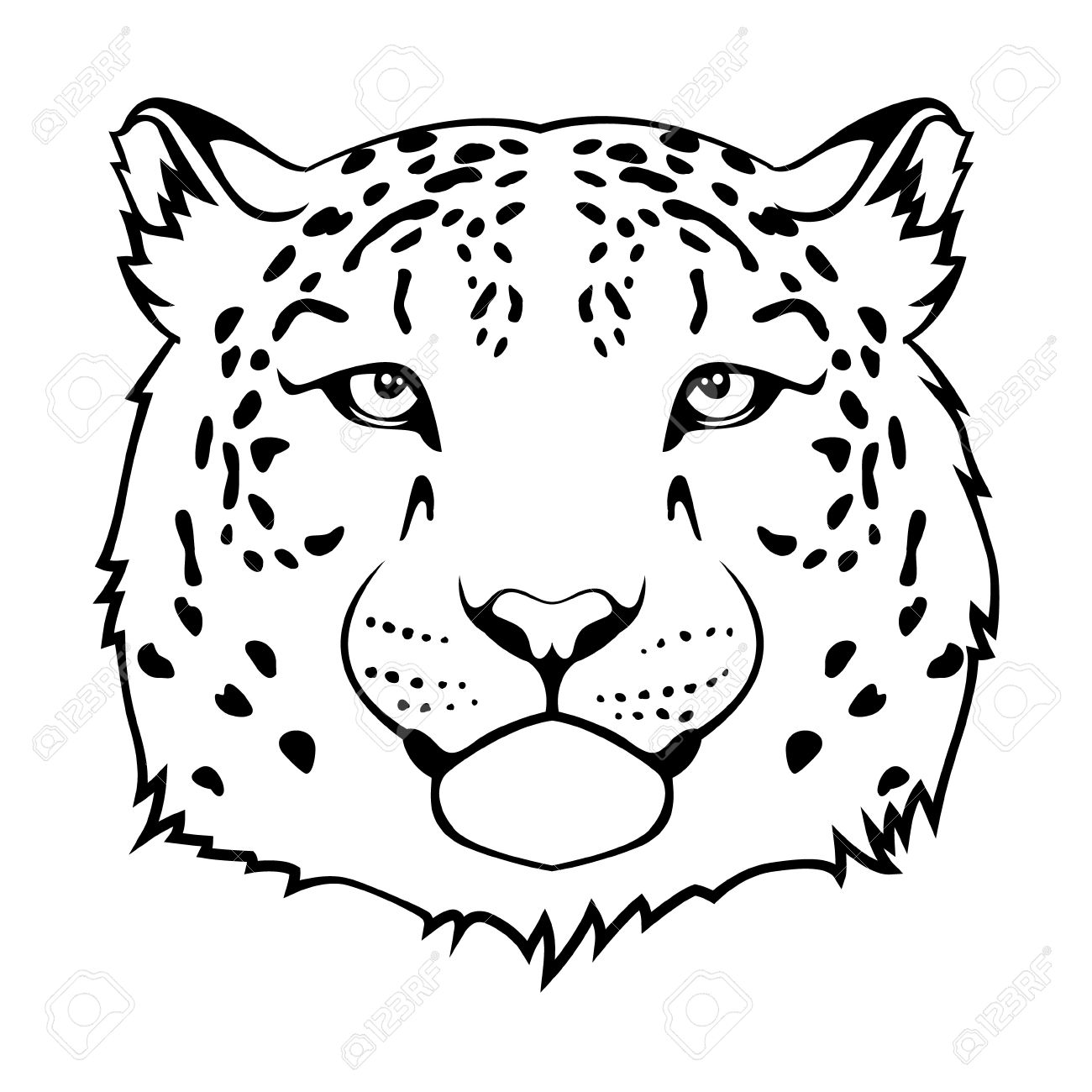 snow leopard: Snow leopard s head isolated on white Illustration