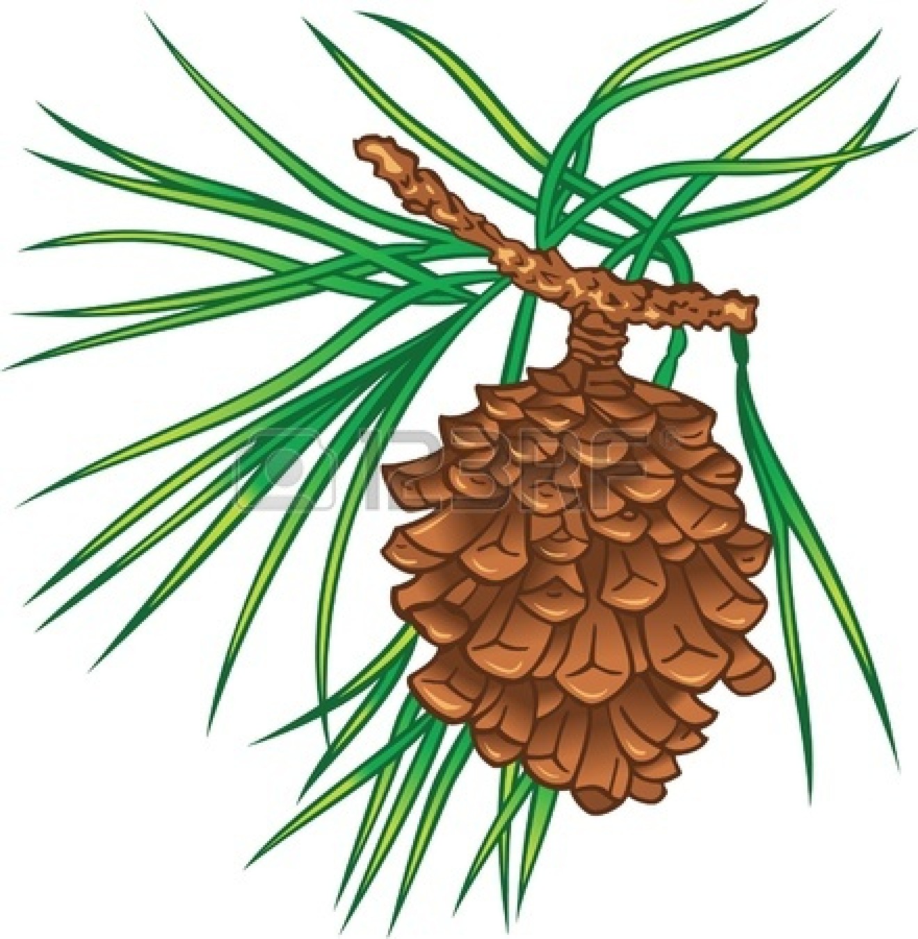 snowy pine tree clipart - Pinecone Clip Art