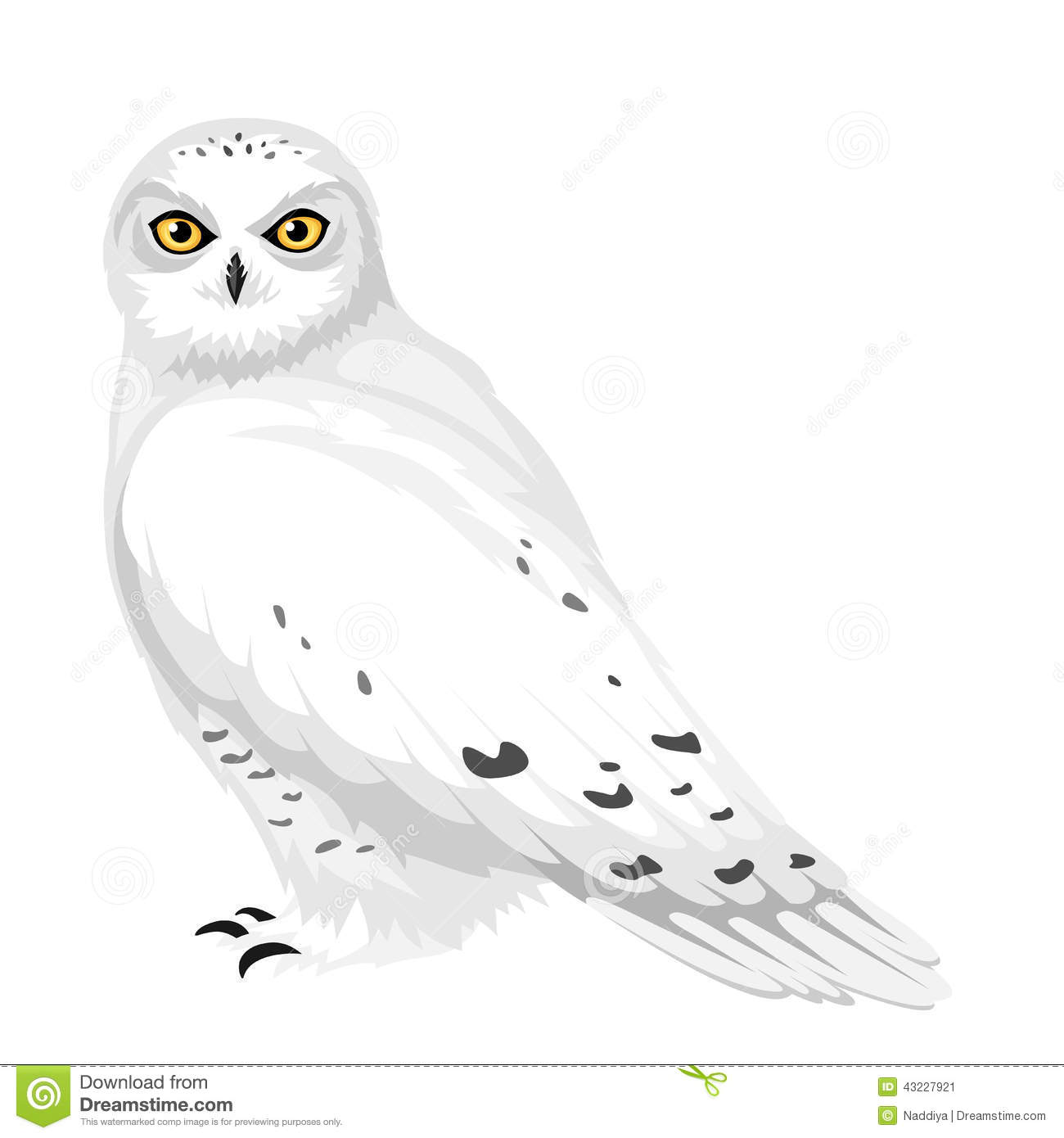 Snowy Owl Vector Illustration Stock Vector Image 43227921