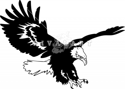 soaring eagle clipart black a
