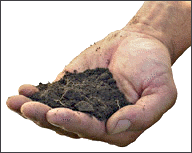 soil clipart - Soil Clip Art