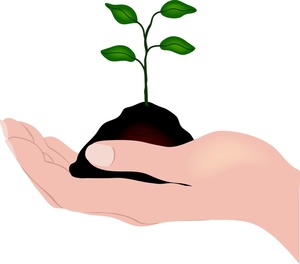 Soil Clipart Hand Holding A Seedling And Soil 0515 1003 2901 5345 Smu