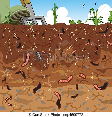 Soil - Editable vector illustration of earthworms in garden.