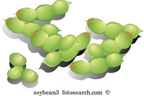 Soybeans-Shadows - Soybean Clipart