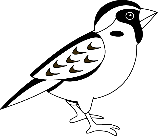 ... Sparrow 20clipart - Free Clipart Images ...