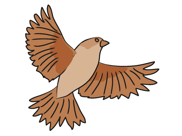 sparrow clipart