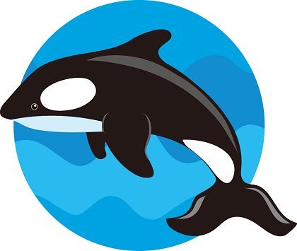 Sperm whale clip art vector s - Whale Clip Art Free