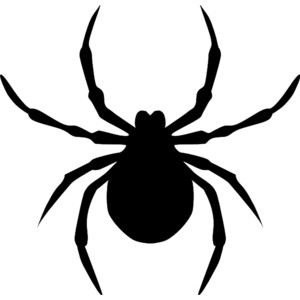 Spider clipart black and whit